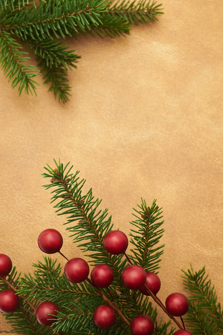 Christmas pine branches and red berries on kraft paper background