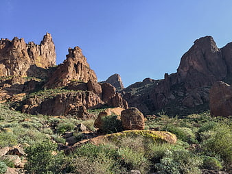 Red Rock Desert Landscape with Blue Sky and Green Vegetation