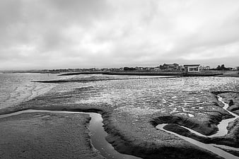 Black and white tidal flats with winding water channels