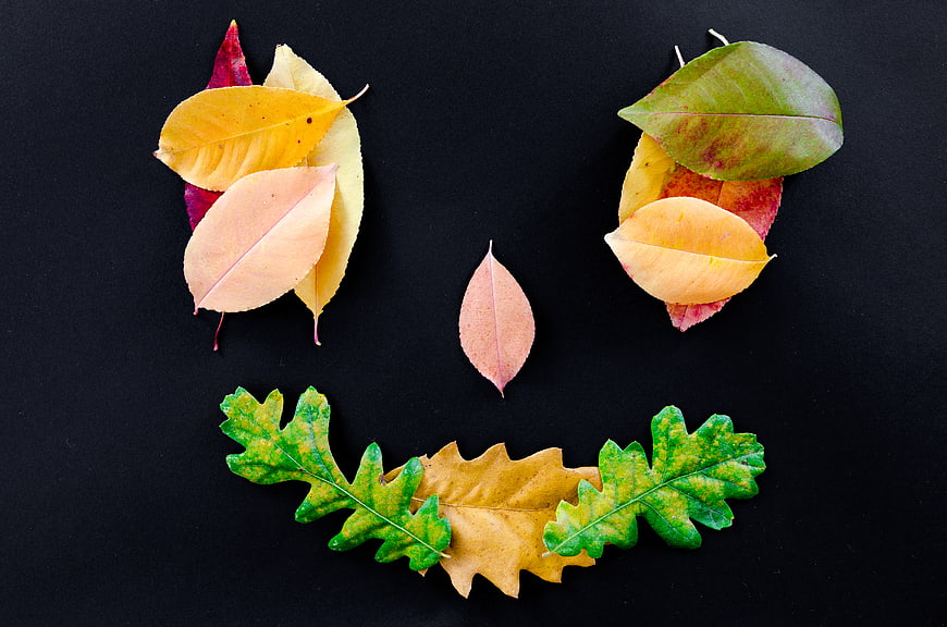 Autumn leaves arranged as a smiley face on black background