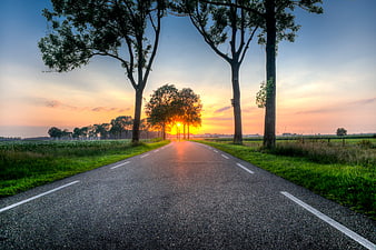 Sunset on a rural road lined with trees