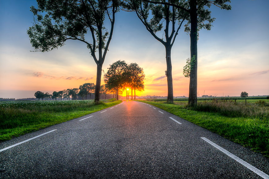 Sunset on a rural road lined with trees