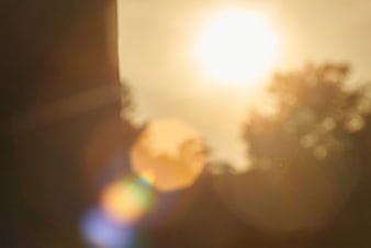 Abstract golden sunlight bokeh with lens flare and blurred trees