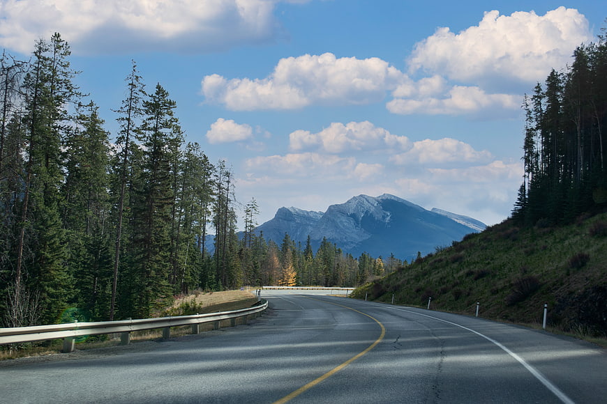 Winding Mountain Road Through Pine Forest with Blue Sky