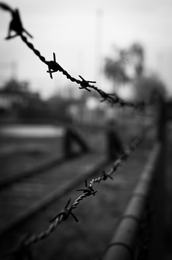 Black and white barbed wire fence close-up