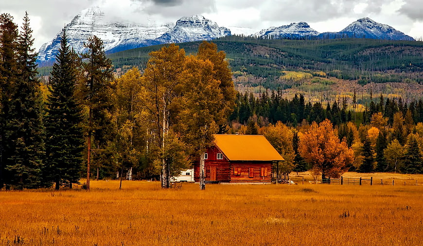 Red Cabin in Golden Autumn Field with Snowy Mountains