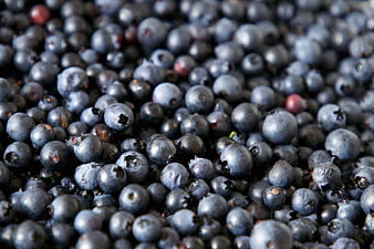 Close-up of fresh blueberries filling the frame