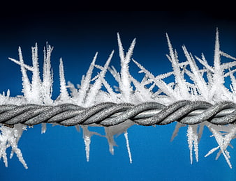 Frosty Barbed Wire Against Blue Sky