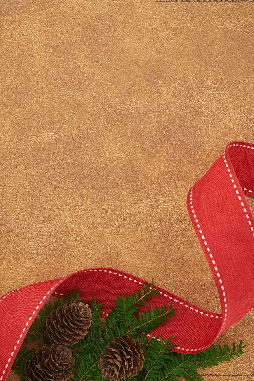 Christmas pine branches and red ribbon on gold leather background