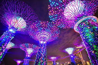 Gardens by the Bay Supertrees illuminated at night in Singapore
