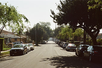 Sunny Residential Street with Parked Cars and Trees