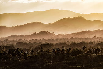 Misty tropical mountain landscape with palm trees at sunrise
