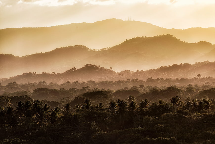 Misty tropical mountain landscape with palm trees at sunrise