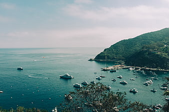 Aerial View of Catalina Island Harbor with Yachts and Boats