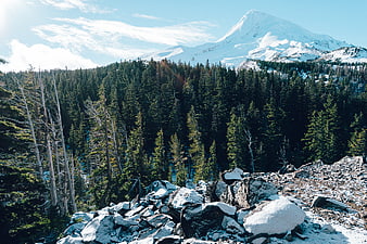 Snow-Capped Mountain Peak Overlooking Dense Evergreen Forest