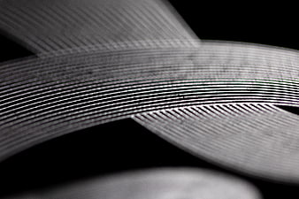 Abstract Monochrome Wavy Lines on Black Background