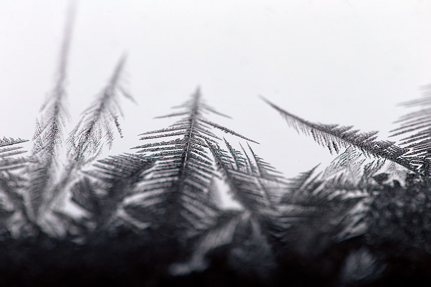 Macro Photography of Intricate Ice Crystals on a Frozen Window