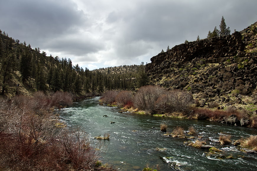 Flowing River Through Rocky Canyon with Pine Trees