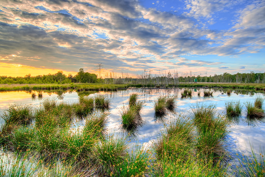 Dramatic sunset over marshland with grass tufts and cloud reflections