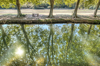 Serene river reflection of trees and picnic table in summer park