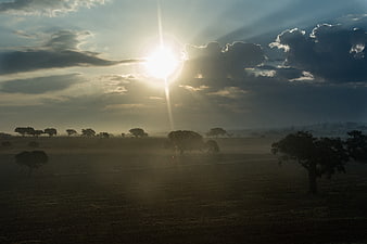 Dramatic Sunrise Over Silhouetted Savanna Landscape