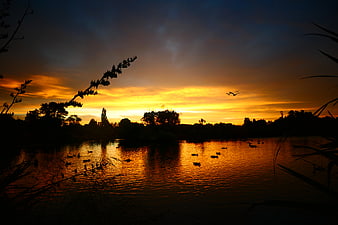 Dramatic sunset over a lake with silhouetted birds and trees