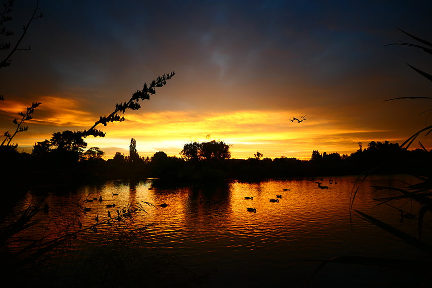 Dramatic sunset over a lake with silhouetted birds and trees