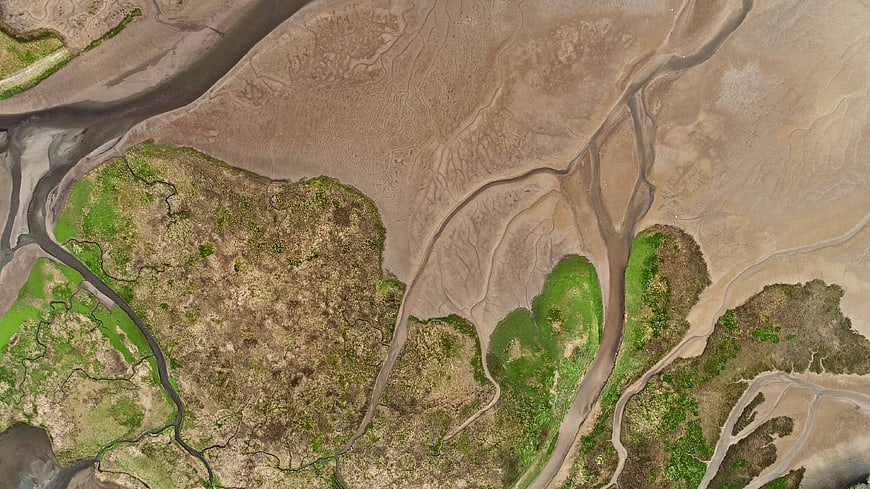 Aerial view of winding river delta with green vegetation and sand