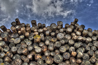 Stack of weathered wooden logs against a dramatic cloudy sky