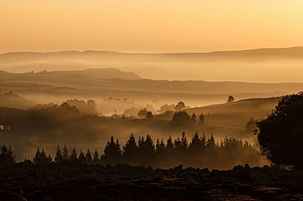 Golden sunrise over misty mountain landscape with pine trees