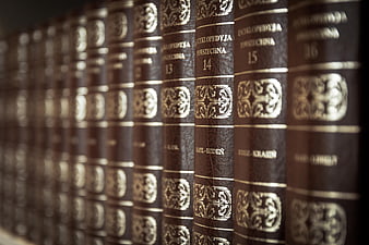 Vintage Encyclopedia Books on Shelf with Gold Lettering