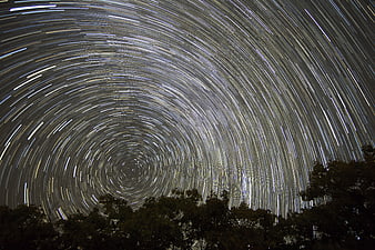 Star trails circling the night sky above a dark forest silhouette