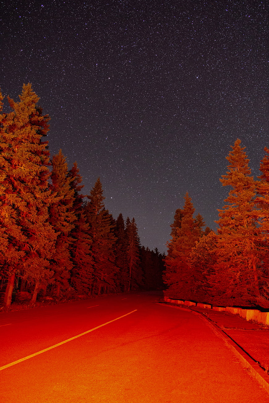 Night Sky Over Forest Road with Red Light