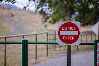 Do Not Enter Sign on Green Gate in Rural Landscape