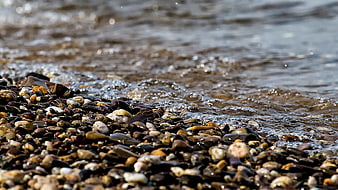 Close-up of wet pebbles on a rocky beach shoreline