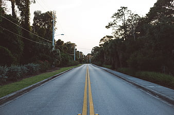 Empty suburban road with double yellow lines and trees