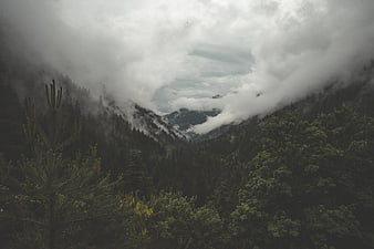 Misty Mountain Valley with Dense Forest and Clouds