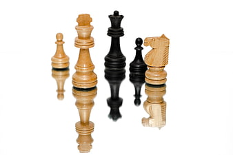 Wooden Chess Pieces with Reflection on White Background