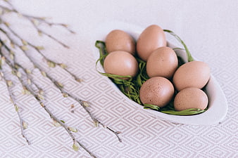 Brown eggs in white bowl with pussy willow branches