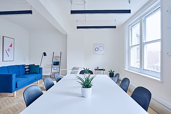 Modern minimalist office interior with blue sofa and white table