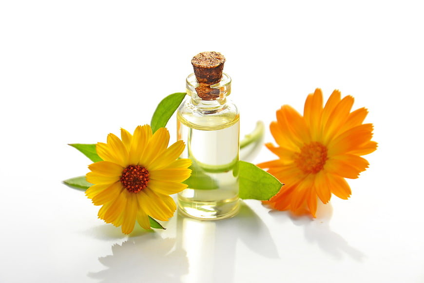 Calendula Essential Oil Bottle with Fresh Flowers on White