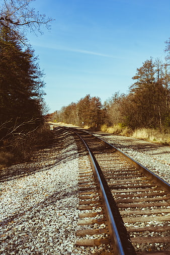 Empty railroad tracks curving through autumn forest landscape