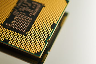 Close-up of CPU Processor Pins on White Background
