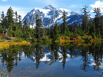 Snowy Mountain Peak Reflected in Calm Lake with Forest