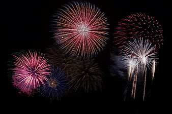 Colorful Fireworks Exploding in Night Sky