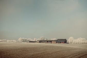 Infrared Photography of Rural Farm Barns and White Trees