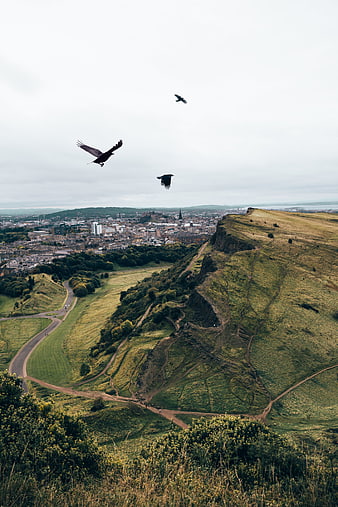 Crows flying over Arthur's Seat and Edinburgh cityscape
