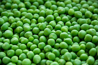 Close-up texture of fresh green peas filling the frame
