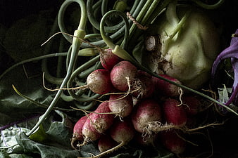 Fresh Harvest of Radishes, Kohlrabi, and Kale
